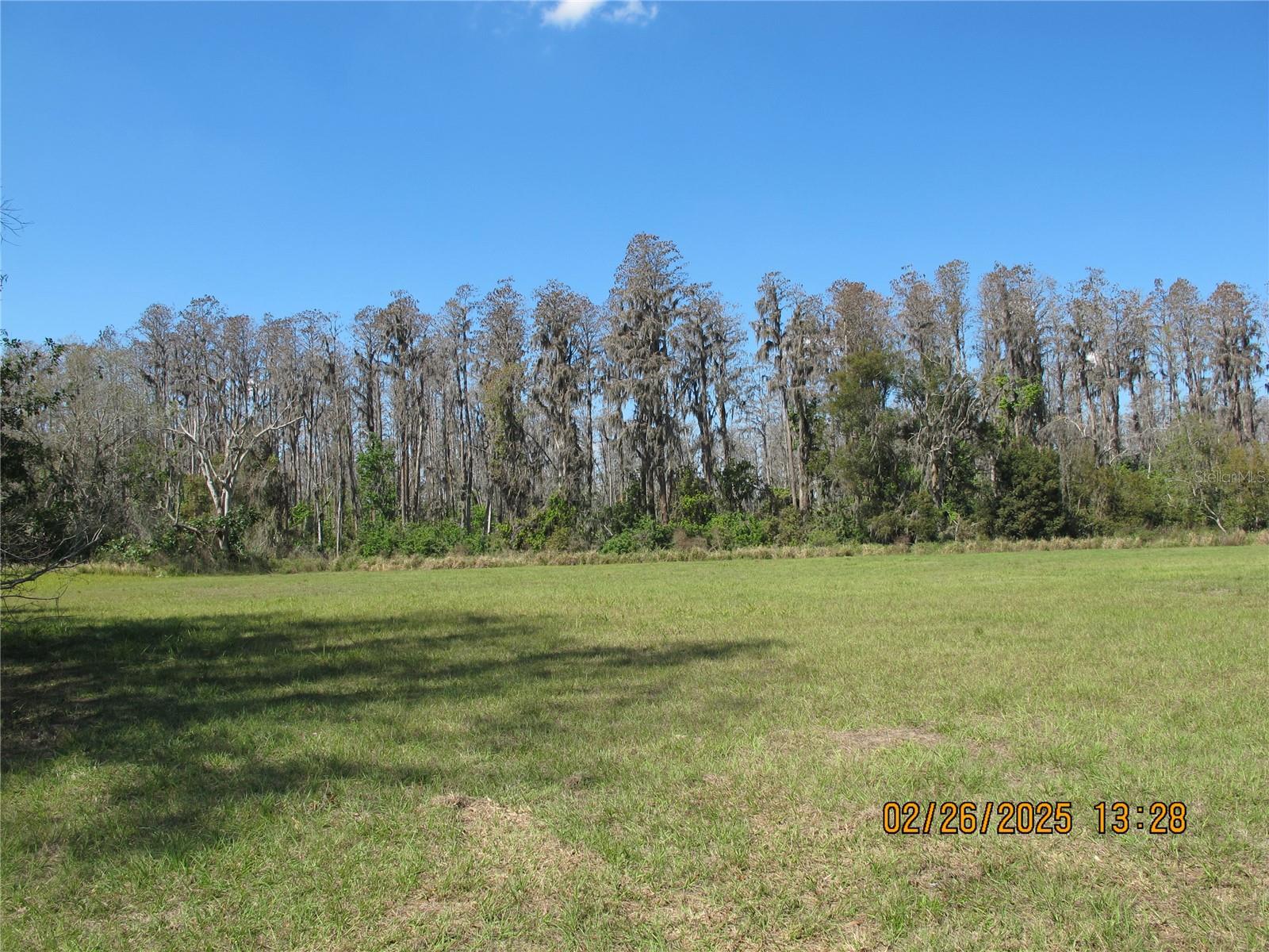 297 MAGNOLIA ACRES CT, LUTZ, FL, 33548