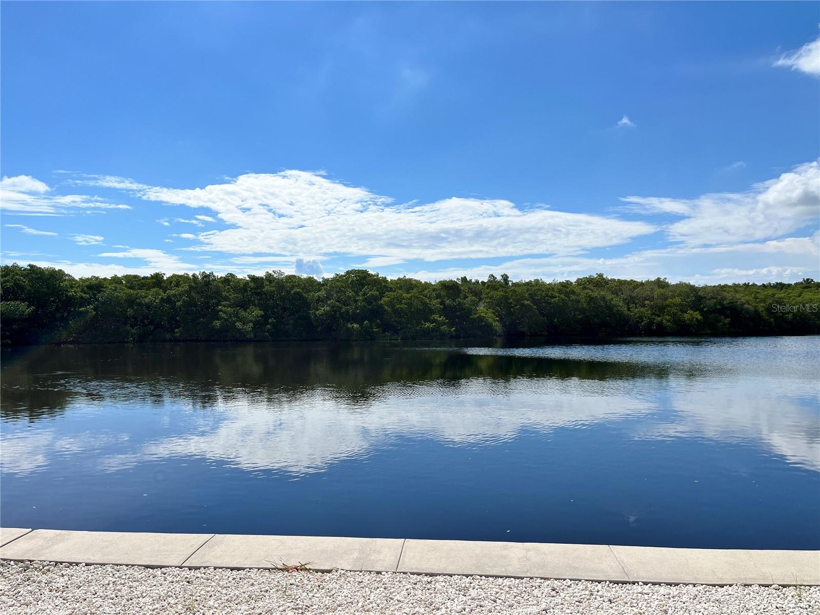 7113 MOUNT PINEY RD NE #719, ST PETERSBURG, FL, 33702