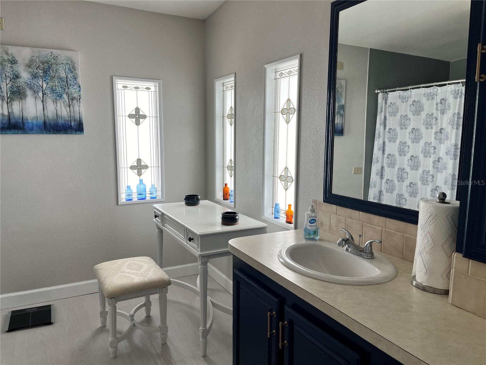 7113 MOUNT PINEY RD NE #719, ST PETERSBURG, FL, 33702