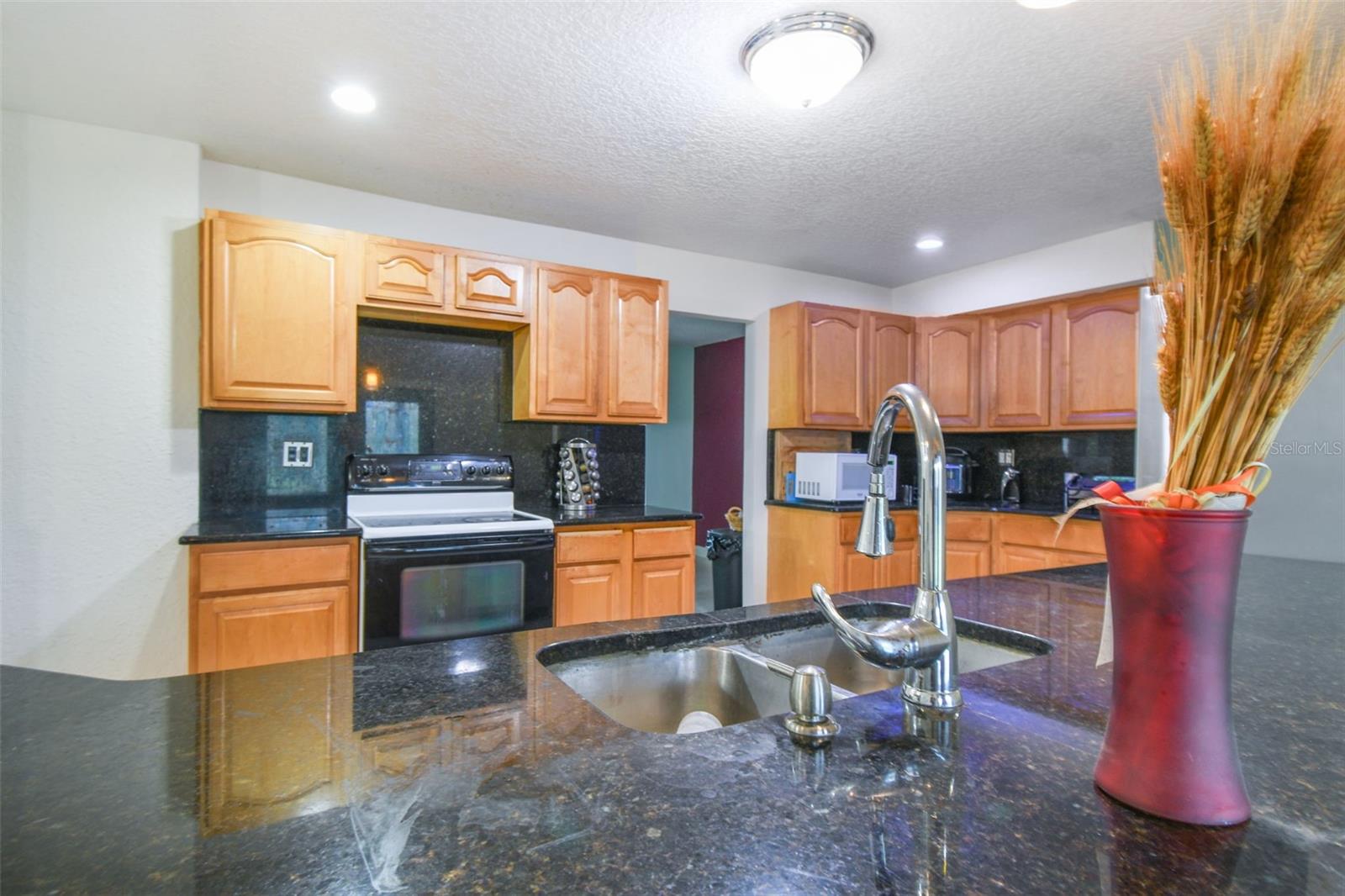 1126 TURNER LN, ALTAMONTE SPRINGS, FL, 32714