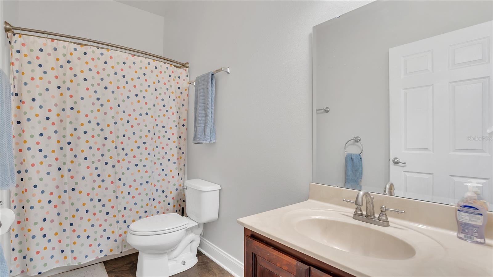2814 BREEZY MEADOW RD, APOPKA, FL, 32712