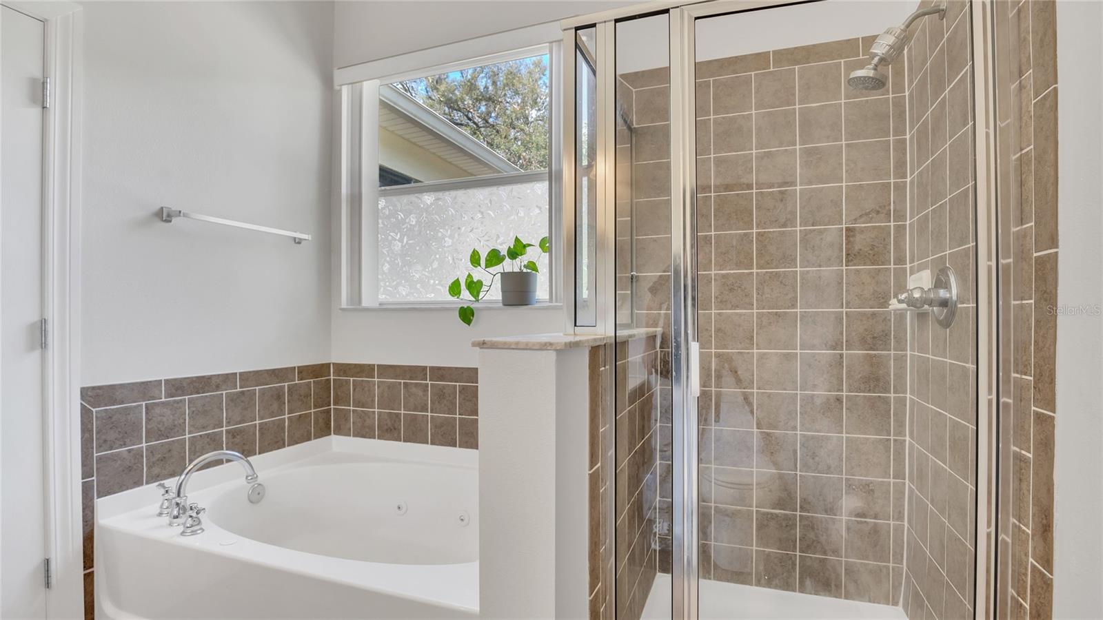 2814 BREEZY MEADOW RD, APOPKA, FL, 32712