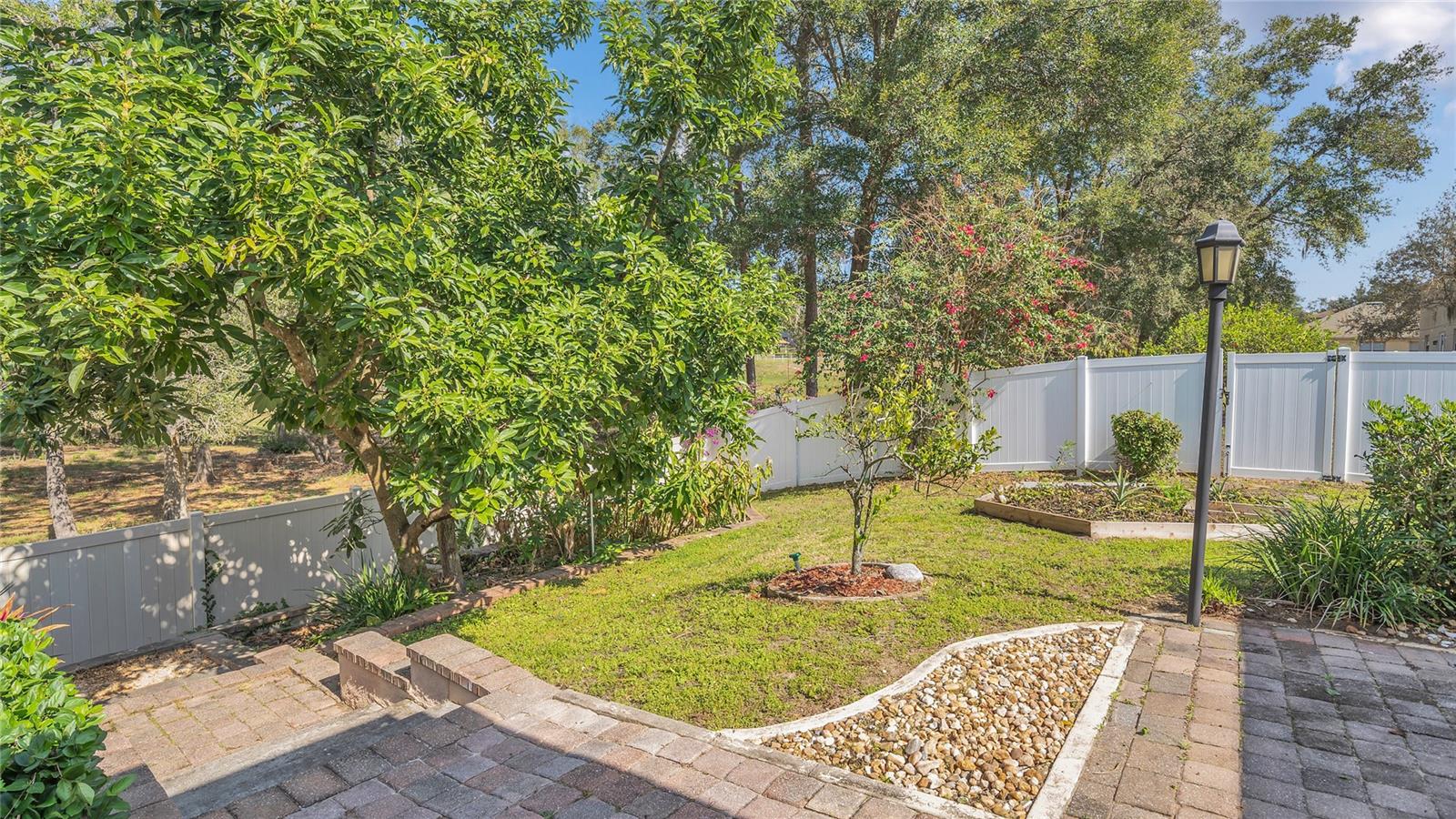 2814 BREEZY MEADOW RD, APOPKA, FL, 32712
