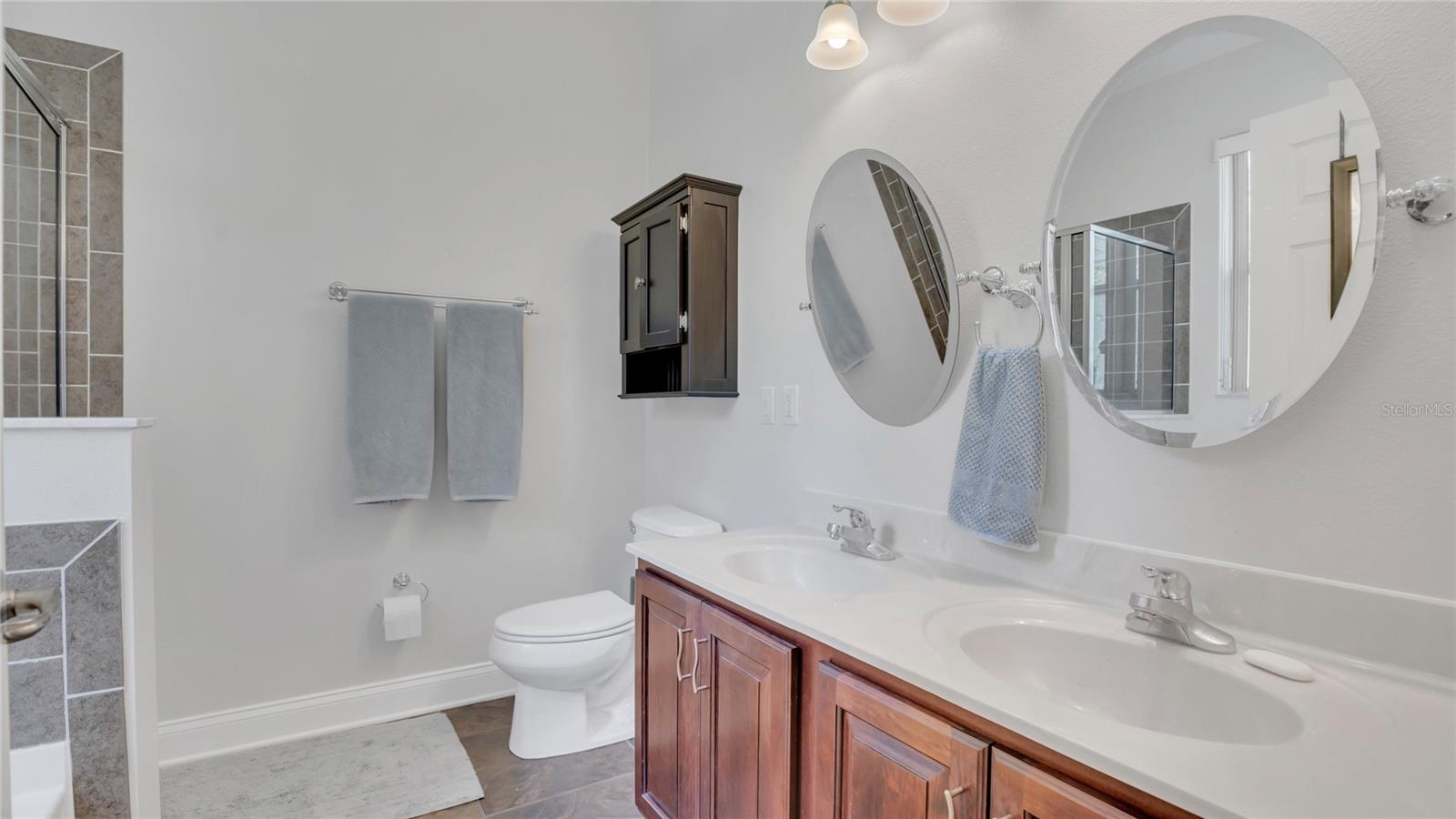 2814 BREEZY MEADOW RD, APOPKA, FL, 32712