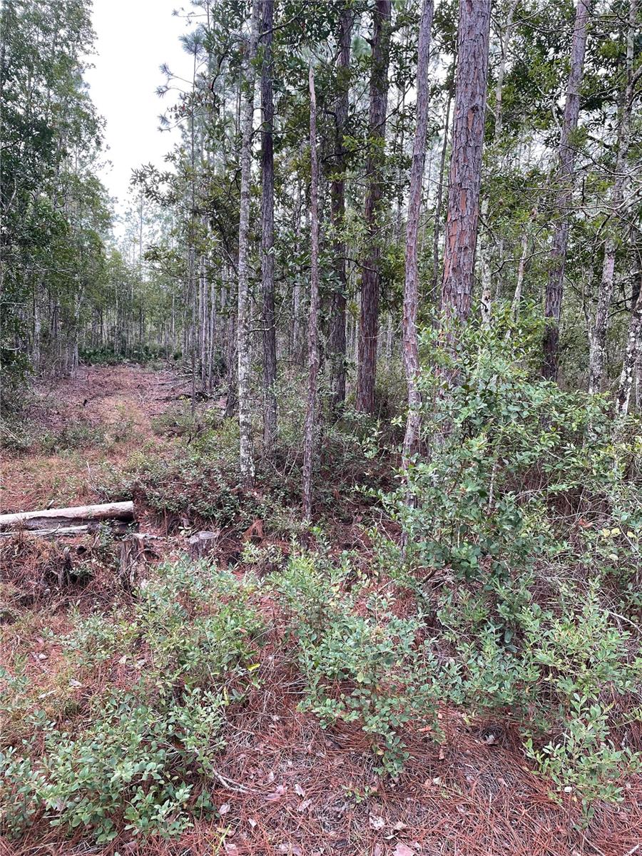134 E DIXIE ST, PALATKA, FL, 32177