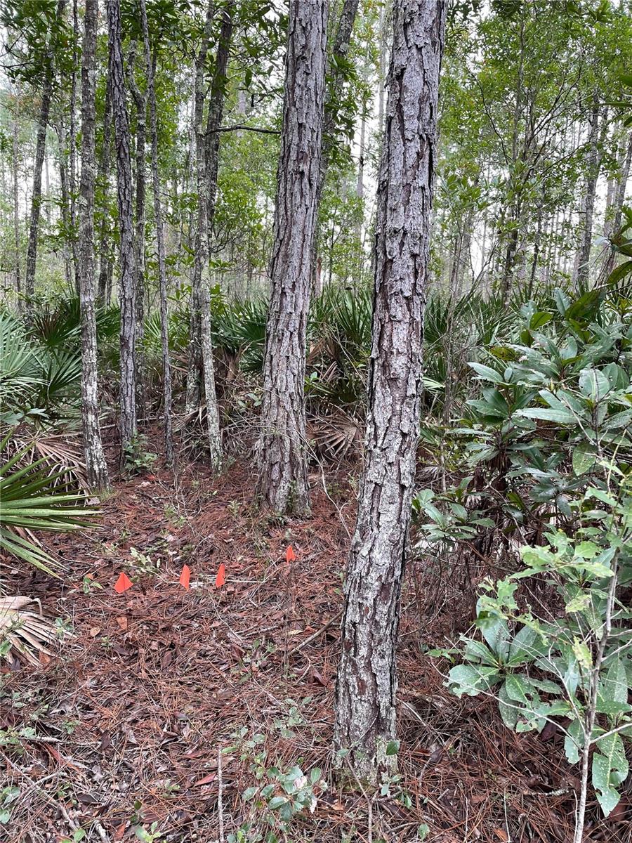 134 E DIXIE ST, PALATKA, FL, 32177