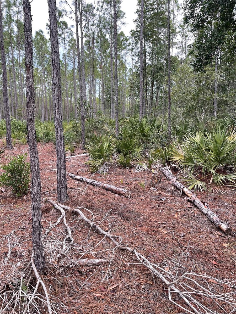 134 E DIXIE ST, PALATKA, FL, 32177