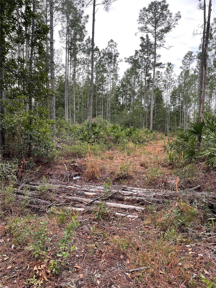 134 E DIXIE ST, PALATKA, FL, 32177