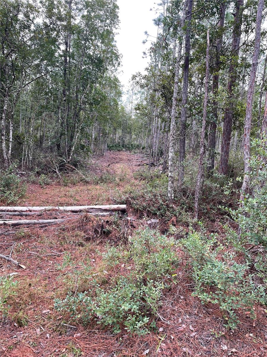 134 E DIXIE ST, PALATKA, FL, 32177