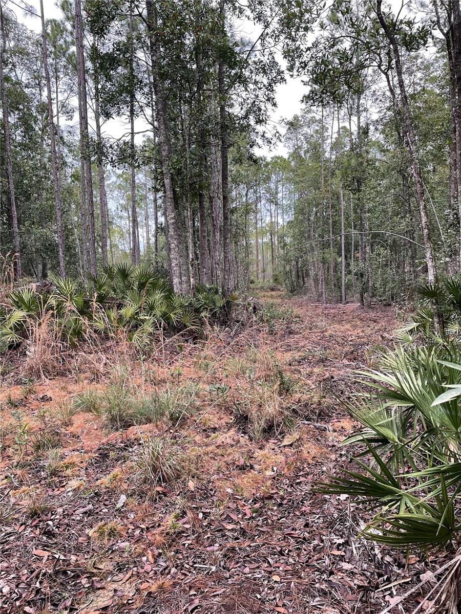 134 E DIXIE ST, PALATKA, FL, 32177