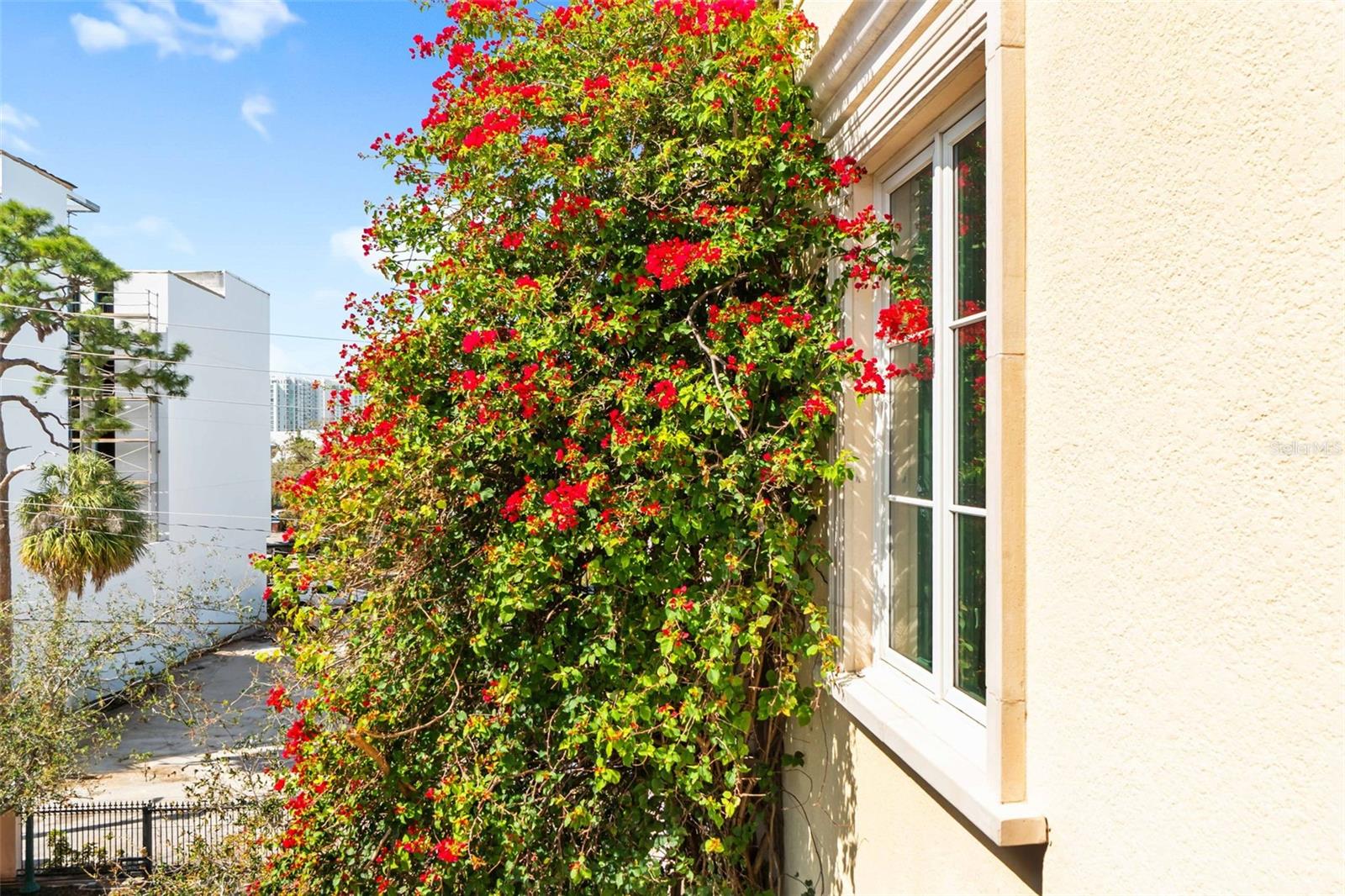 525 N ORANGE AVE #302, SARASOTA, FL, 34236