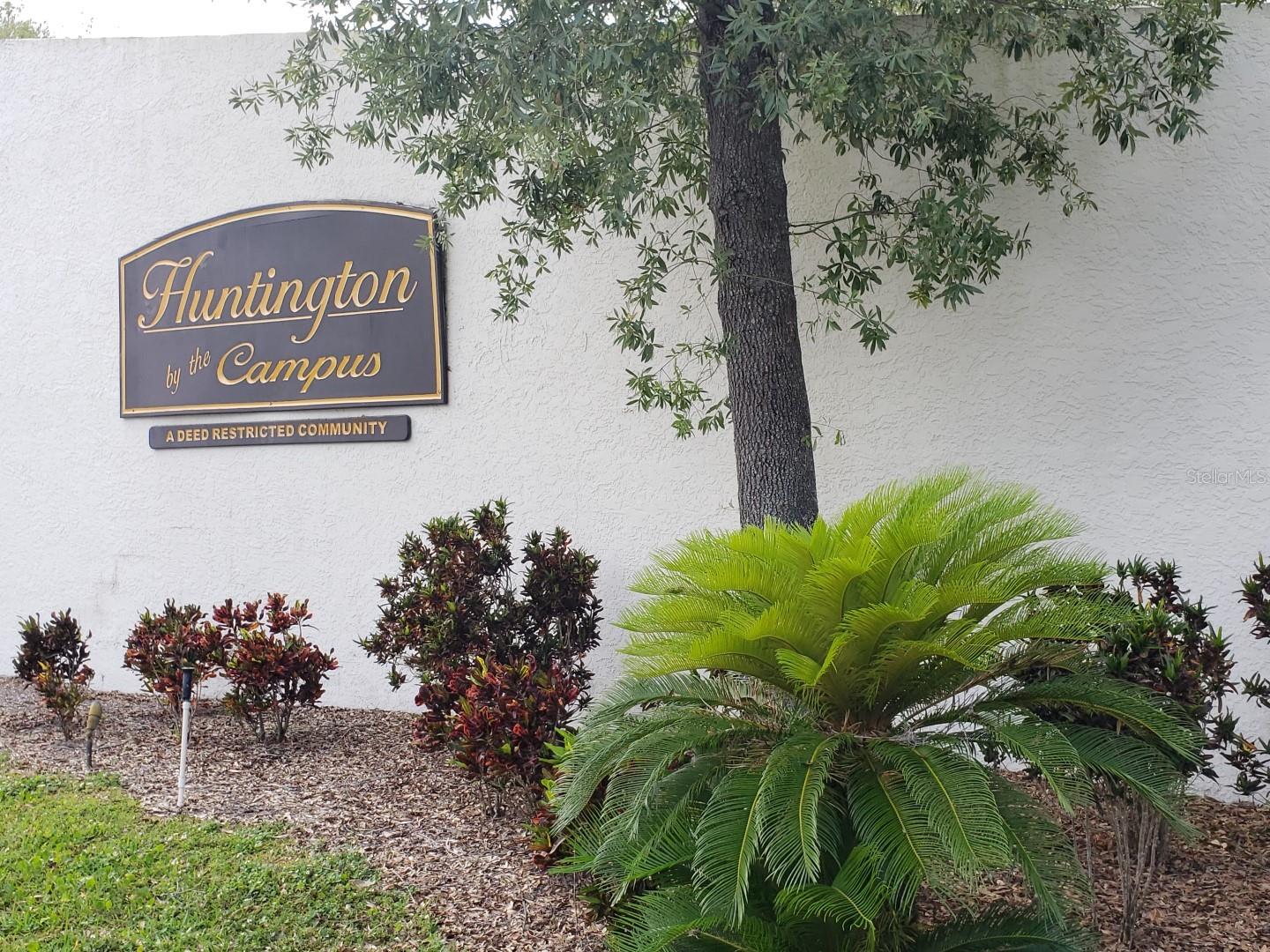 5157 GAINSVILLE DR, TEMPLE TERRACE, FL, 33617