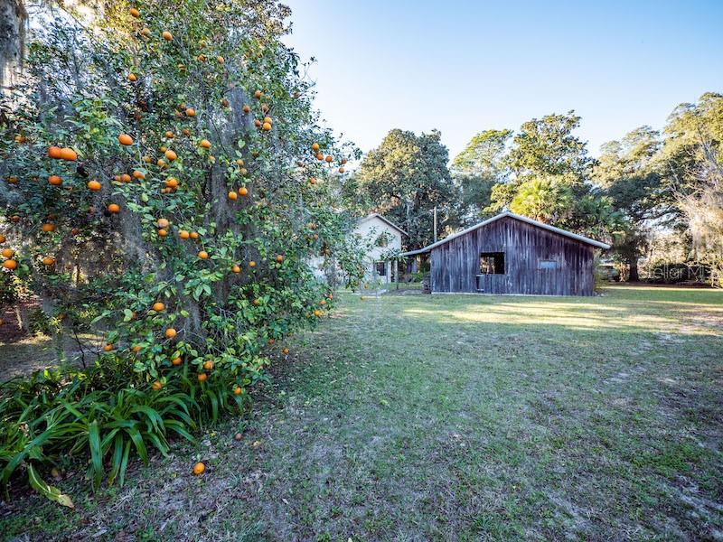 14540 NE 250TH AVE, FORT MC COY, FL, 32134