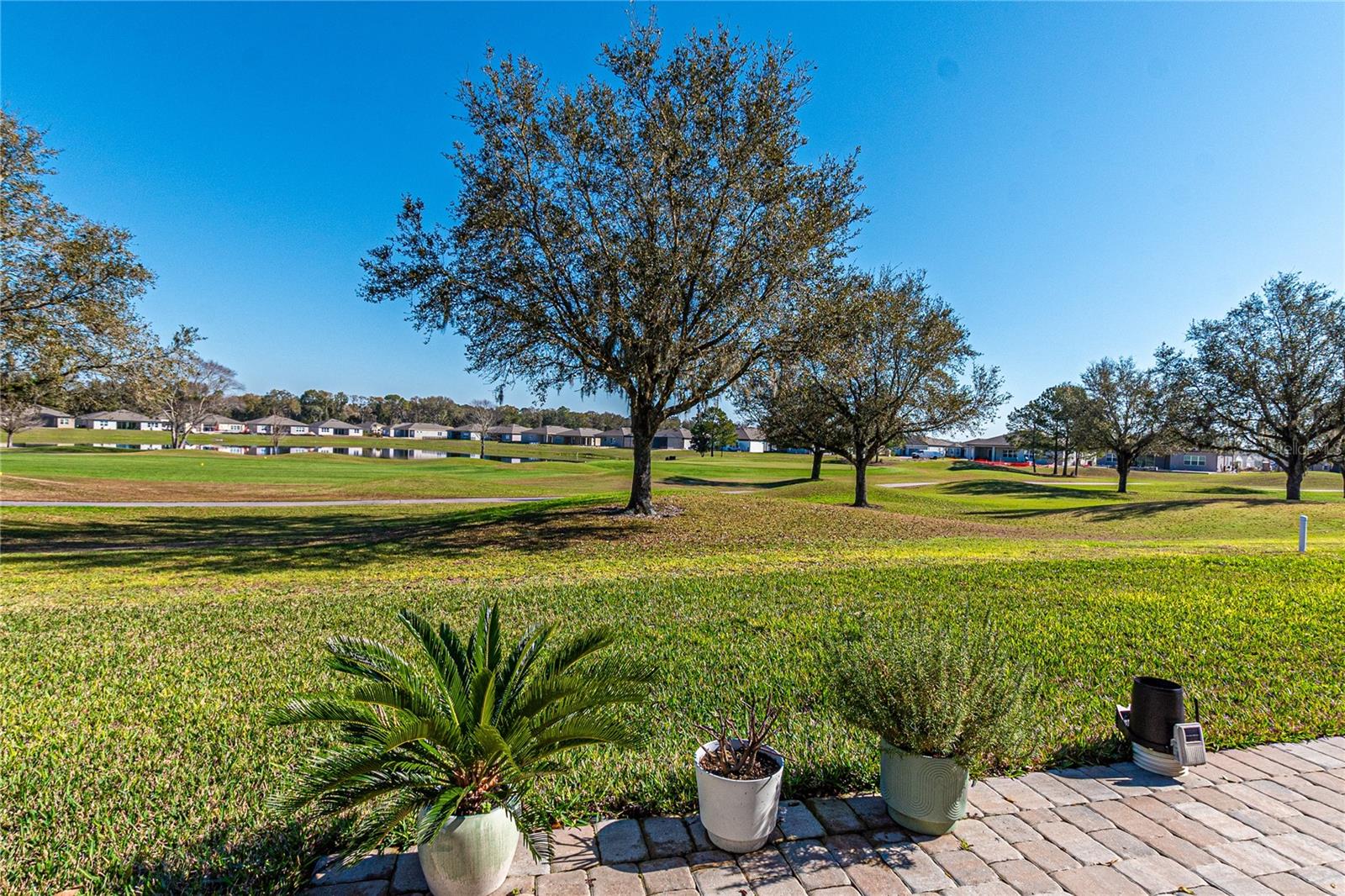 8843 SW 57TH PLACE RD, OCALA, FL, 34481