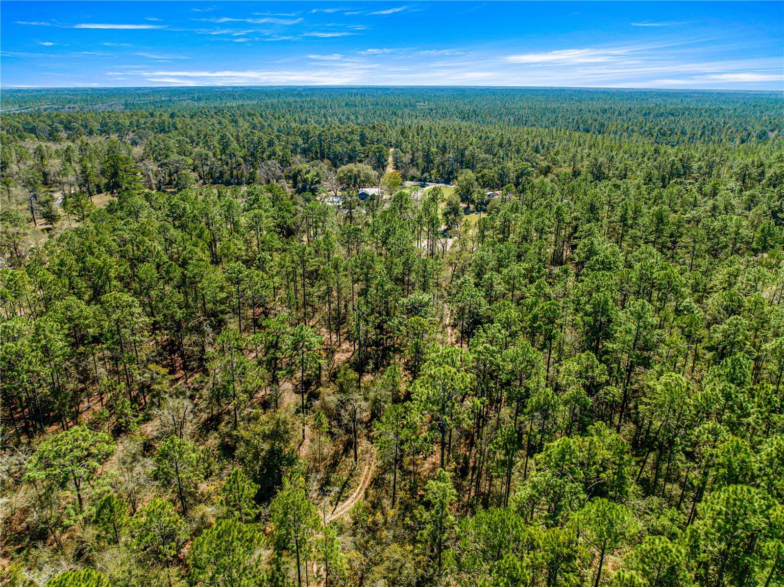 TBD NE 212 STREET RD, FORT MC COY, FL, 32134