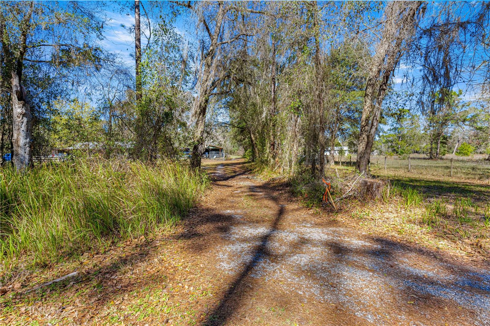TBD NE 212 STREET RD, FORT MC COY, FL, 32134