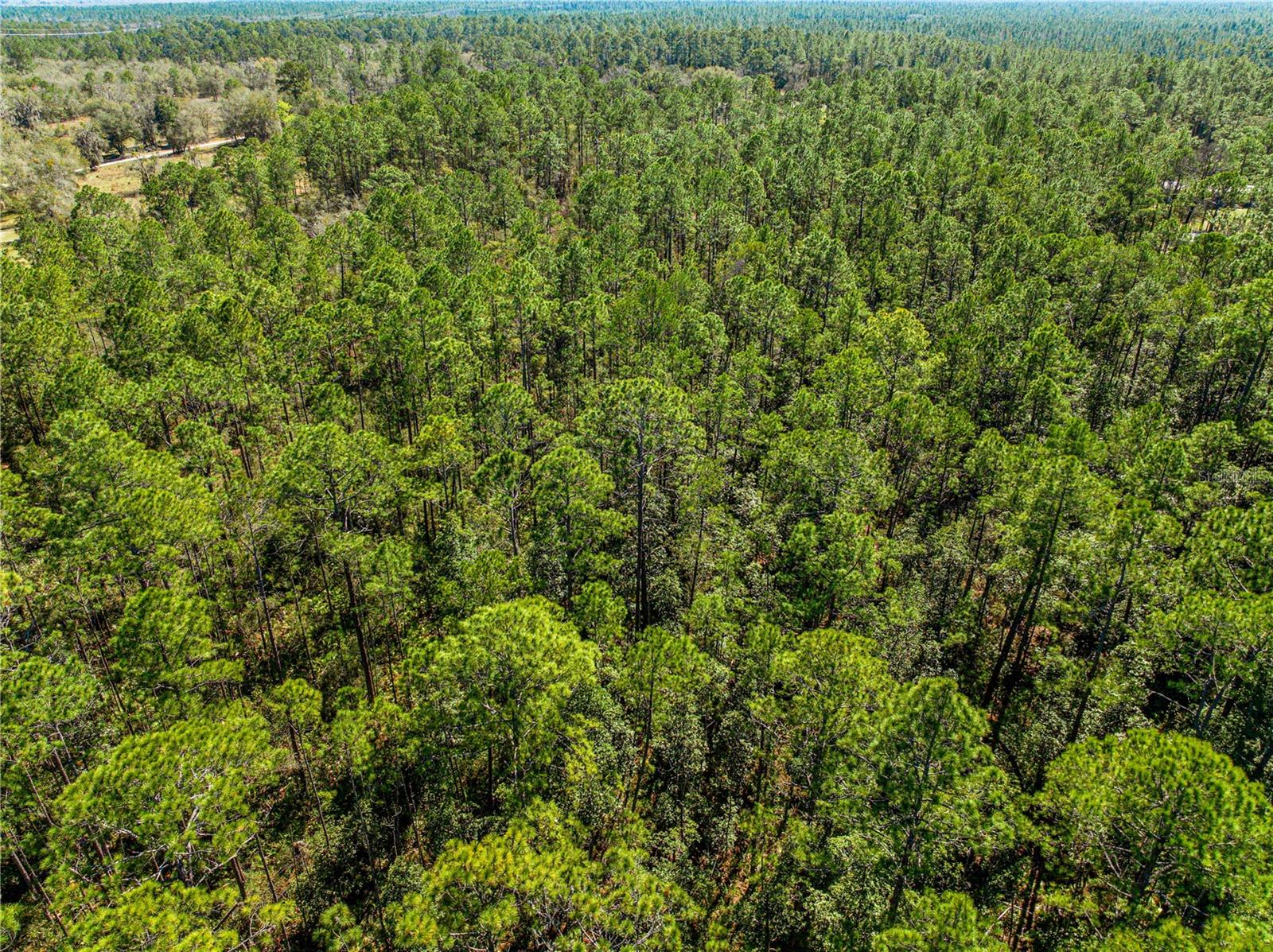 TBD NE 212 STREET RD, FORT MC COY, FL, 32134