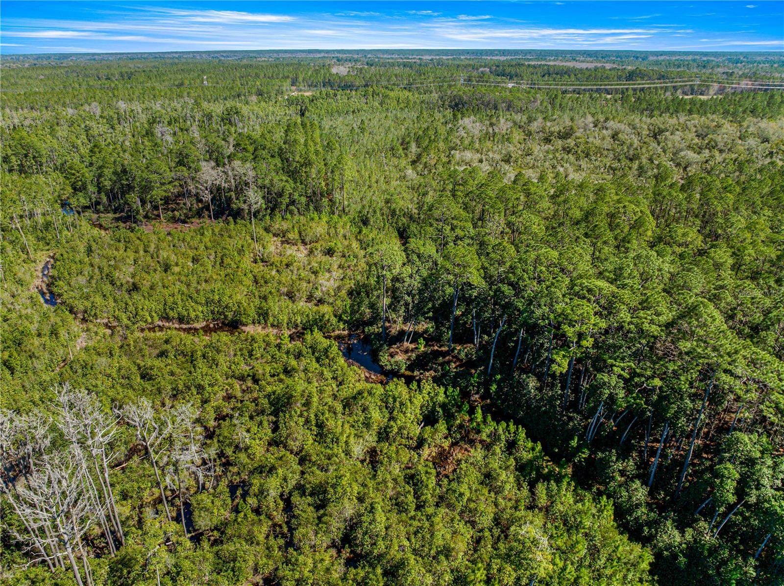 TBD NE 212 STREET RD, FORT MC COY, FL, 32134