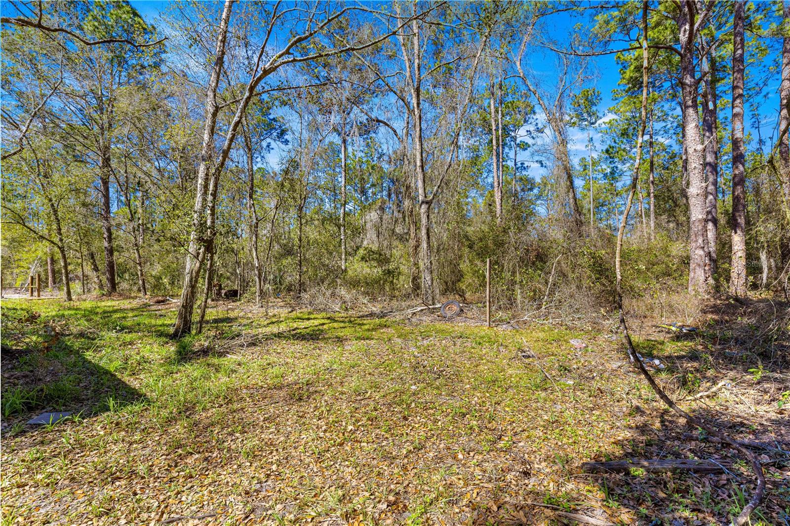 TBD NE 212 STREET RD, FORT MC COY, FL, 32134