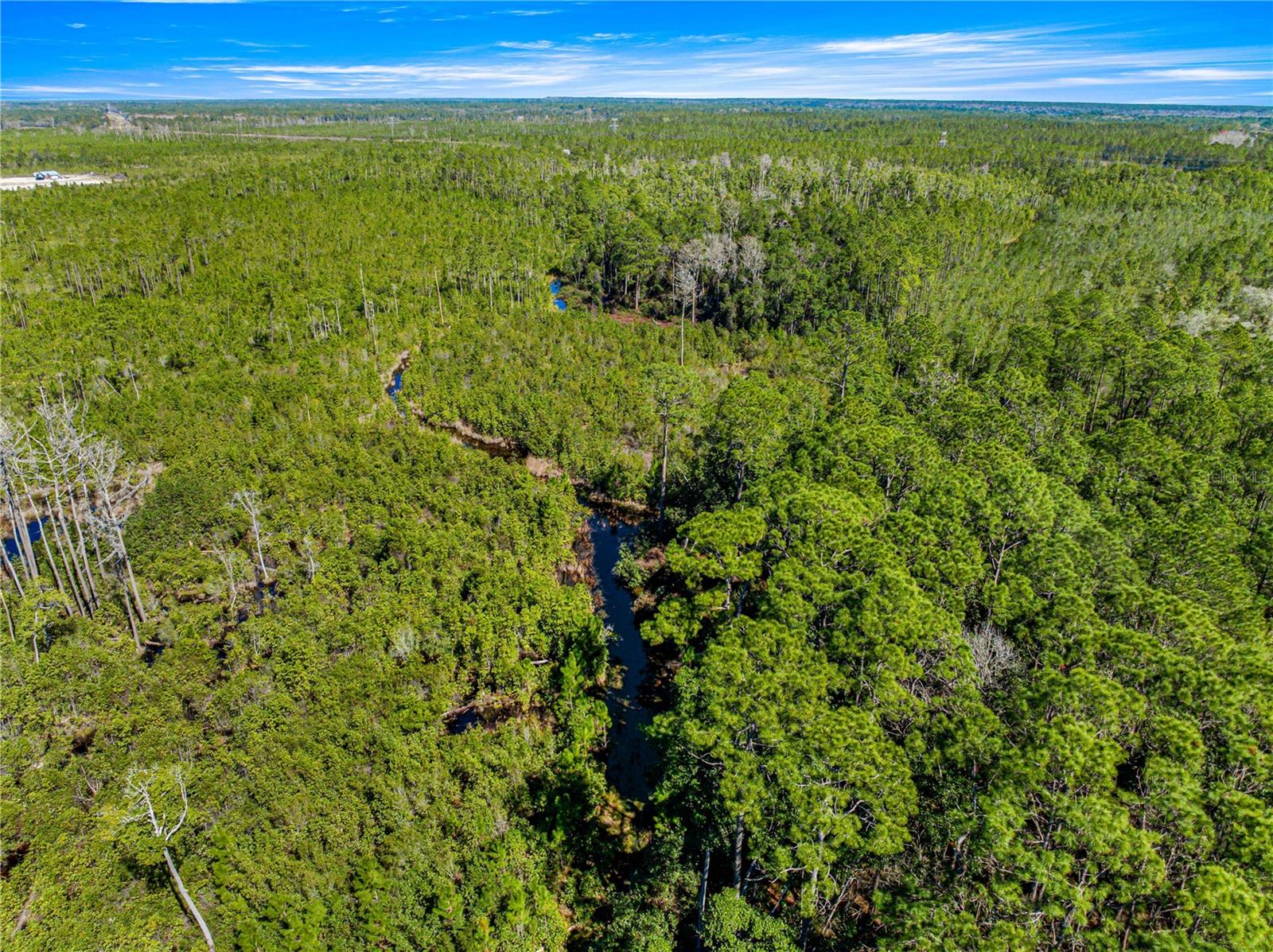 TBD NE 212 STREET RD, FORT MC COY, FL, 32134