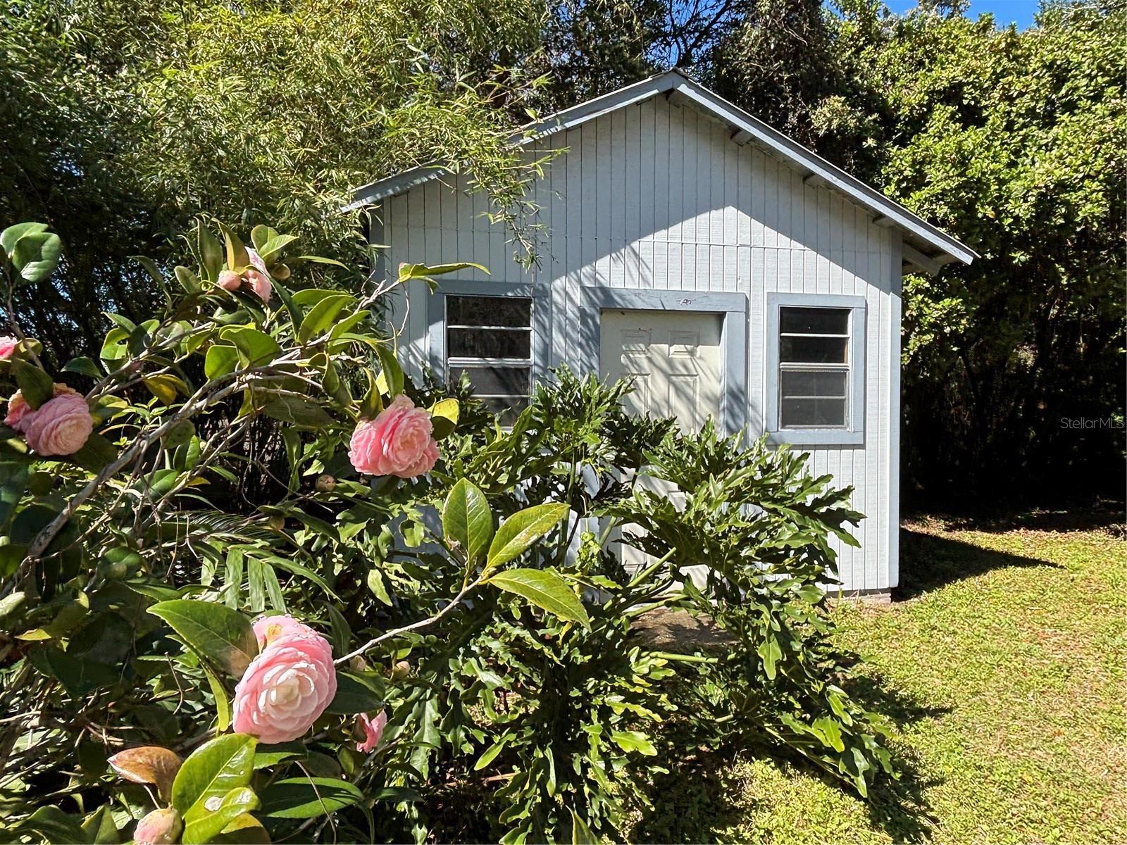 214 NE 6TH ST, GAINESVILLE, FL, 32601