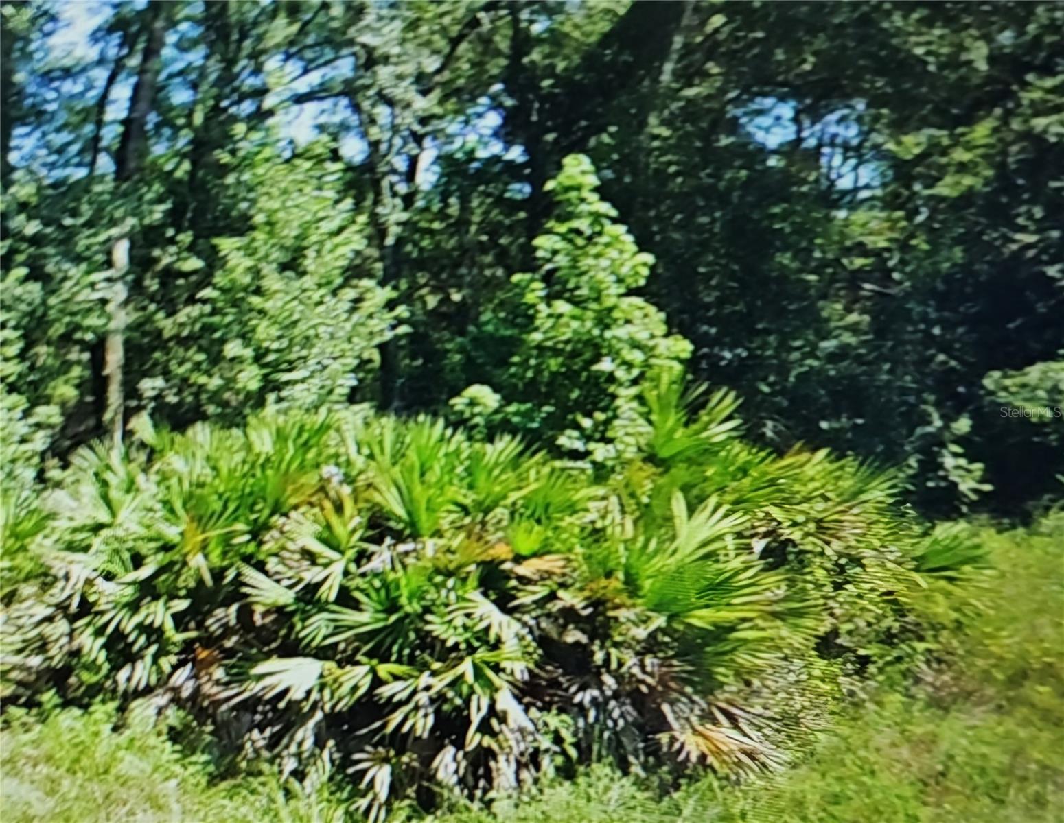 NW 10TH PL, OCALA, FL, 34482