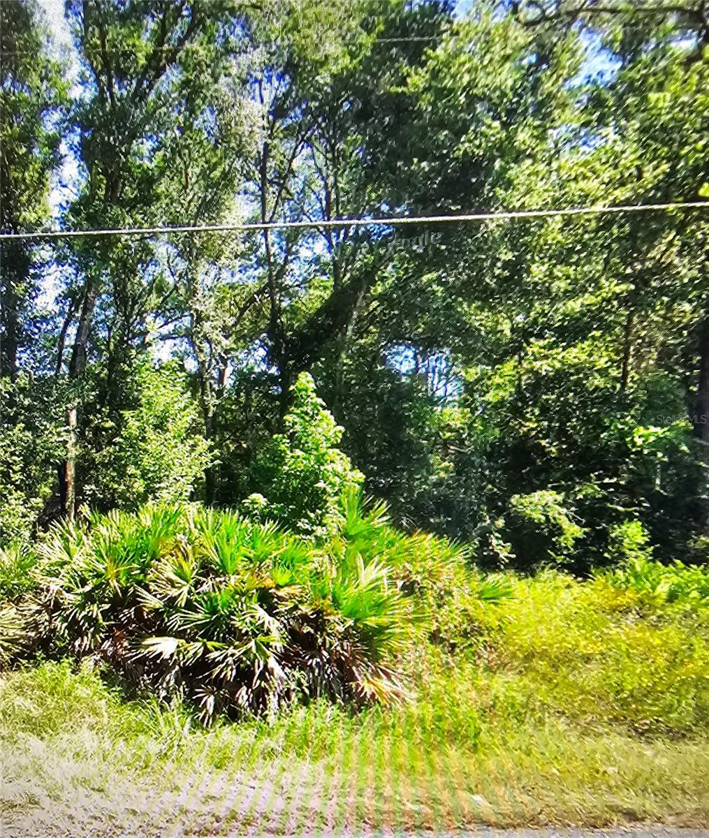 NW 10TH PL, OCALA, FL, 34482