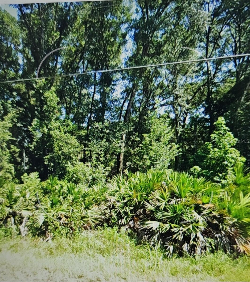 NW 10TH PL, OCALA, FL, 34482