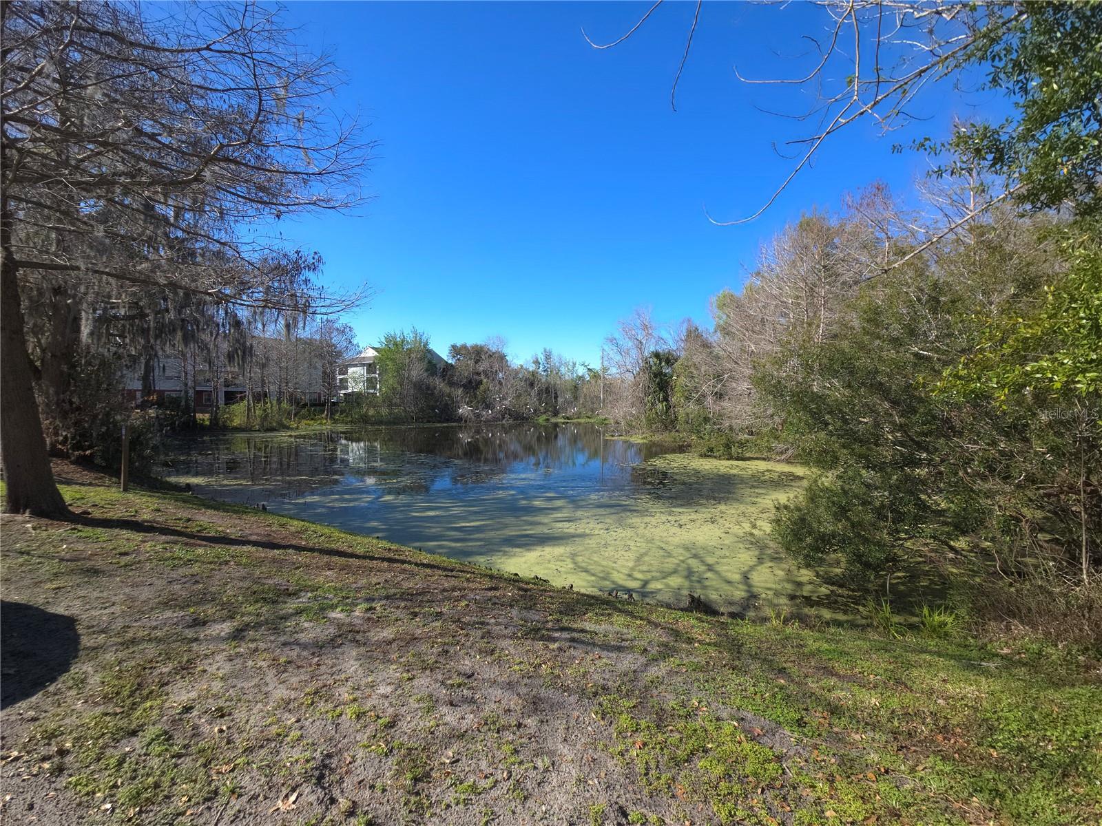 2360 SW ARCHER RD #620, GAINESVILLE, FL, 32608