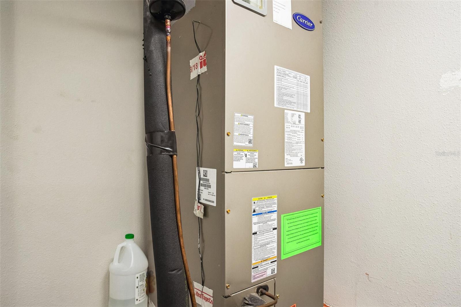 13016 BOGGY CREEK DR, RIVERVIEW, FL, 33579