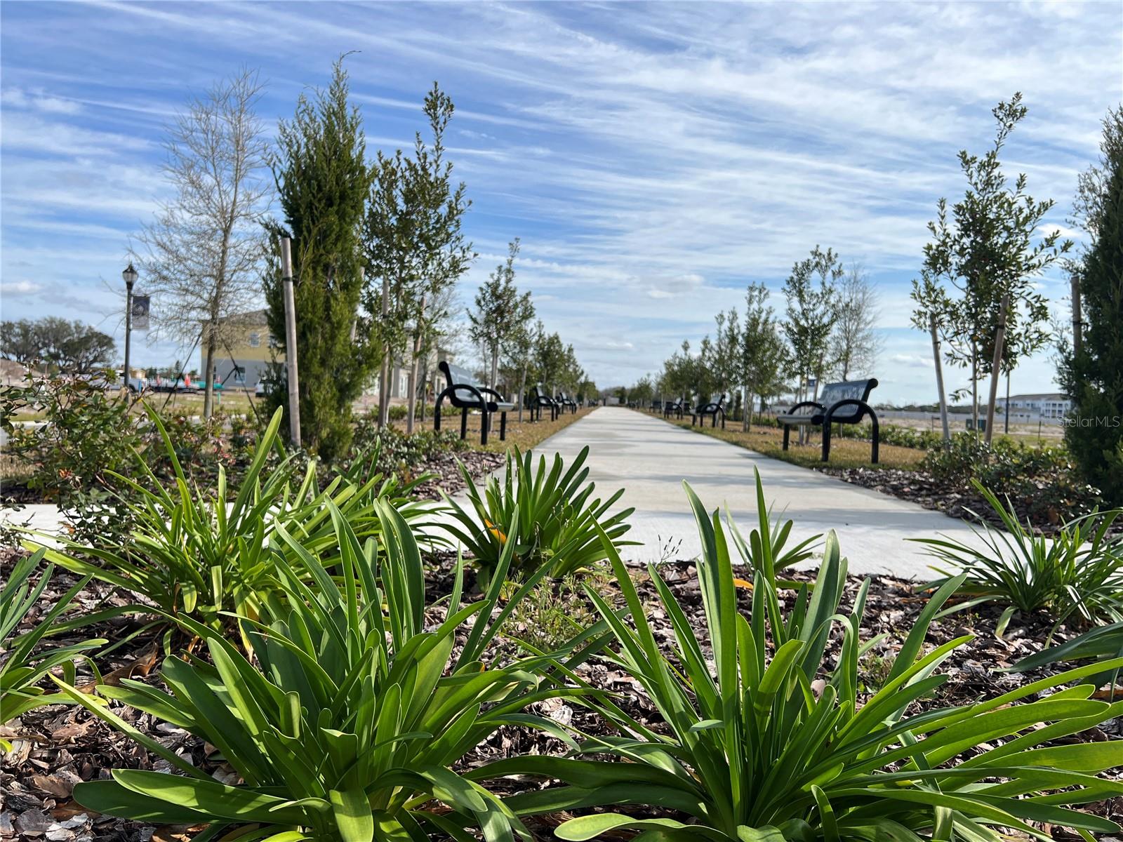 4315 CAMPSITE LOOP, ORLANDO, FL, 32824