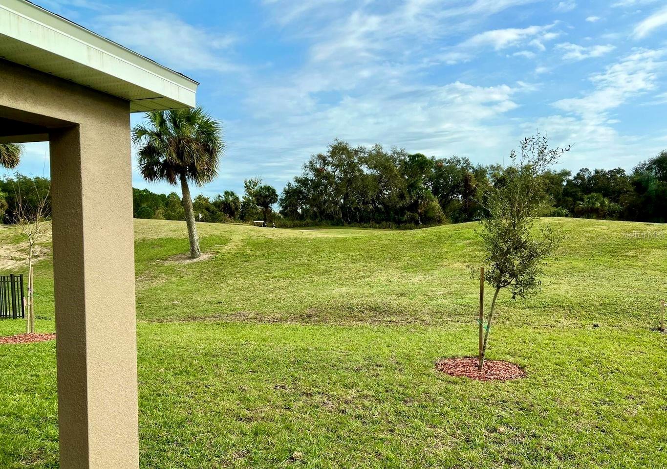 3400 BURROWING OWL DR, MIMS, FL, 32754