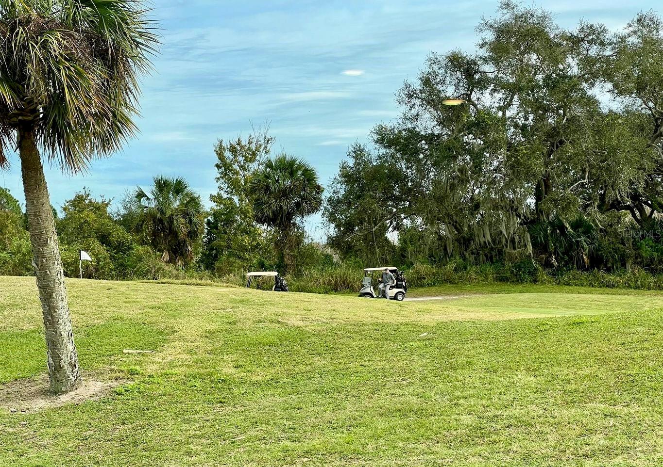 3400 BURROWING OWL DR, MIMS, FL, 32754