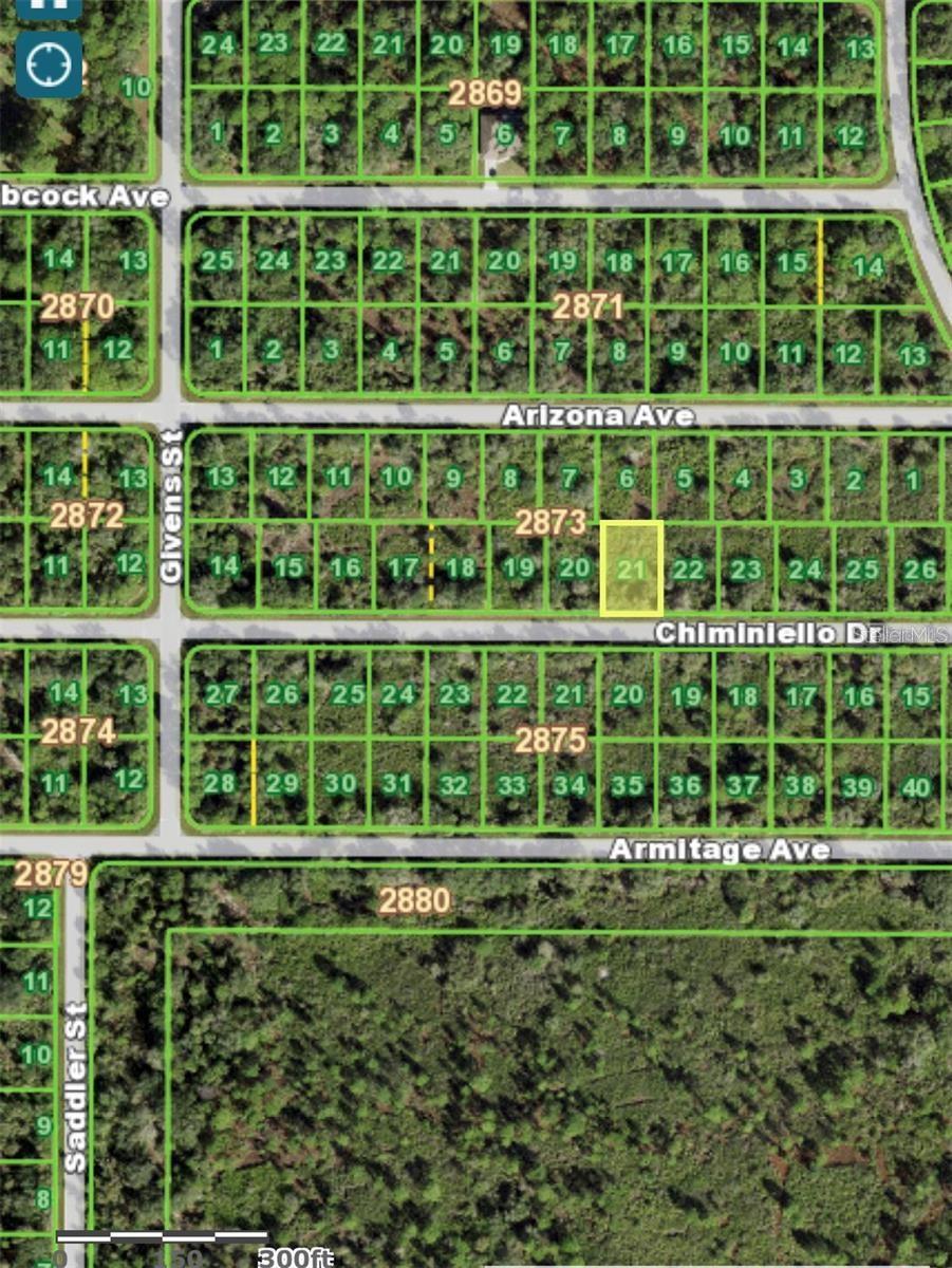 13196 CHIMINIELLO DR, PORT CHARLOTTE, FL, 33953