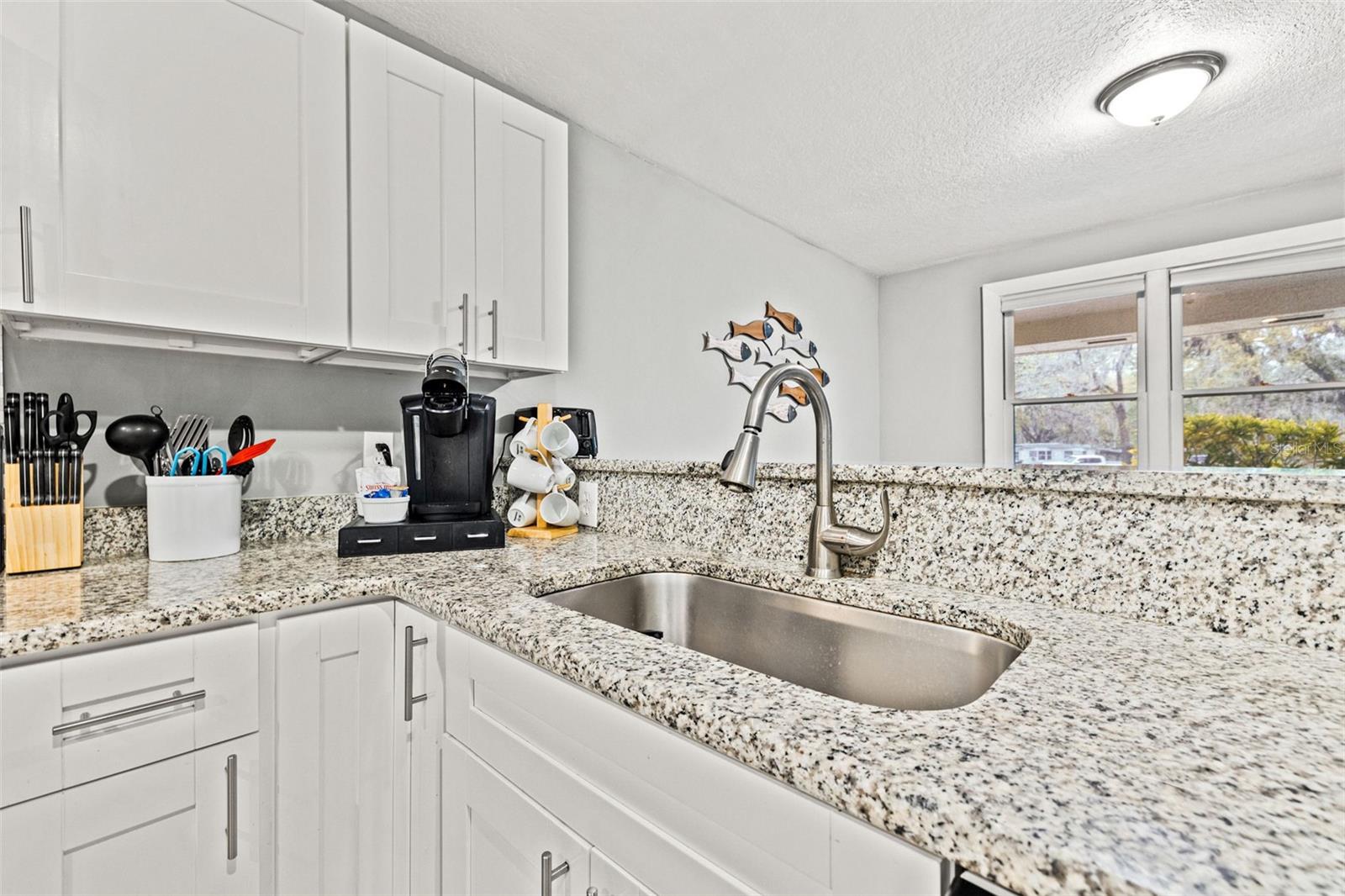 3908 ALAFIA BLVD, BRANDON, FL, 33511