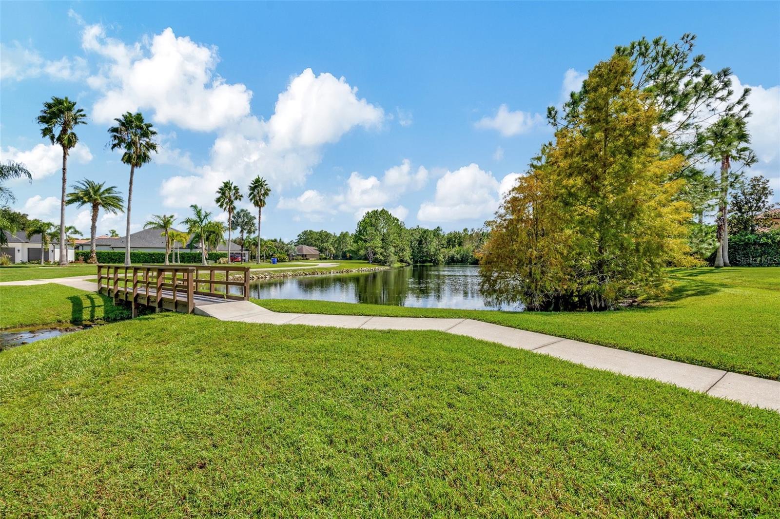 1535 LAKE POLO DR, ODESSA, FL, 33556