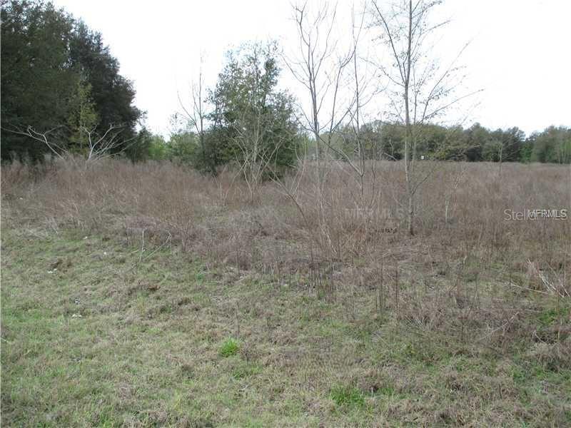 NW 56TH CT, OCALA, FL, 34481