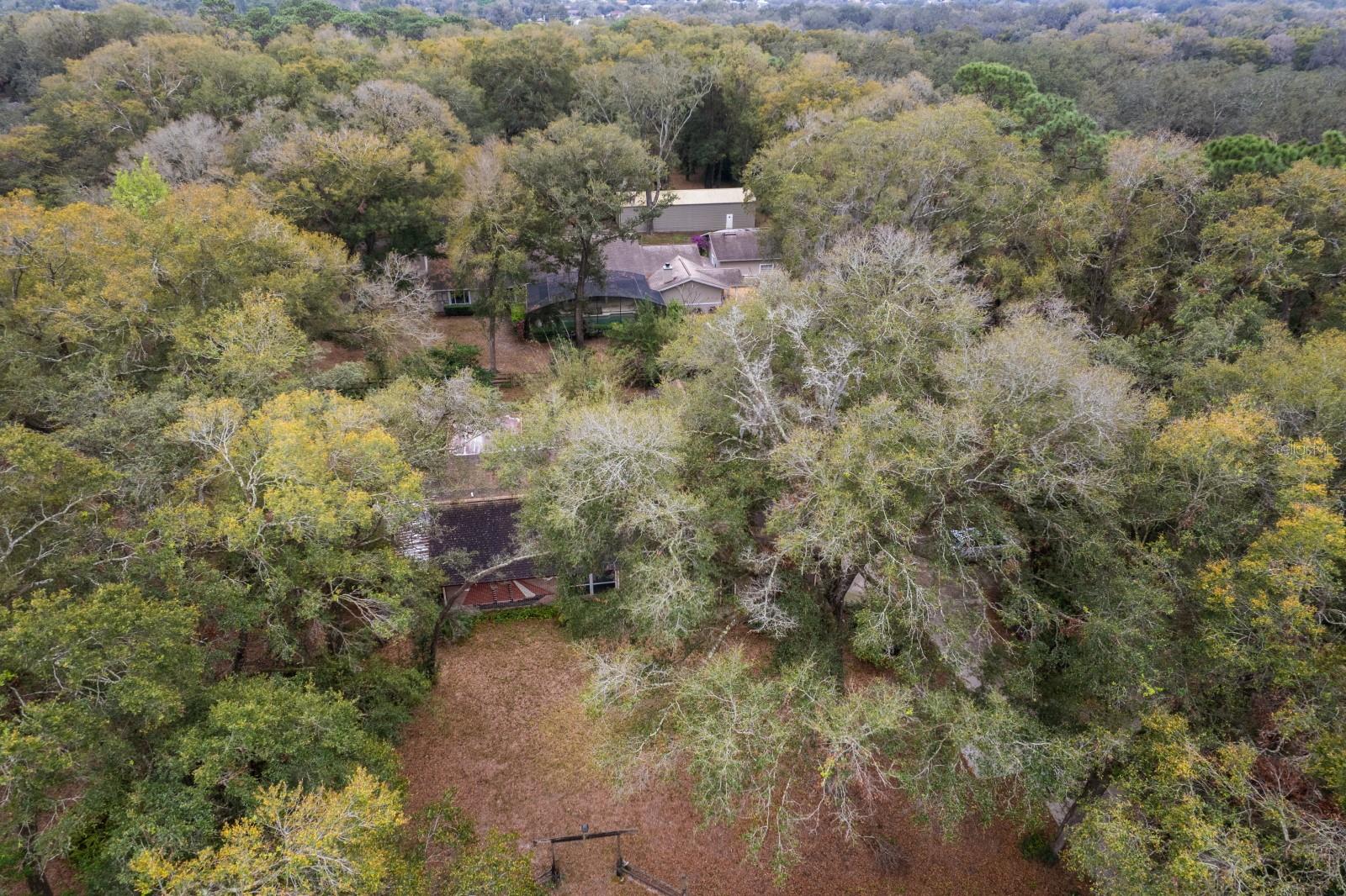 7252 JUNE BUG LN, ORLANDO, FL, 32818