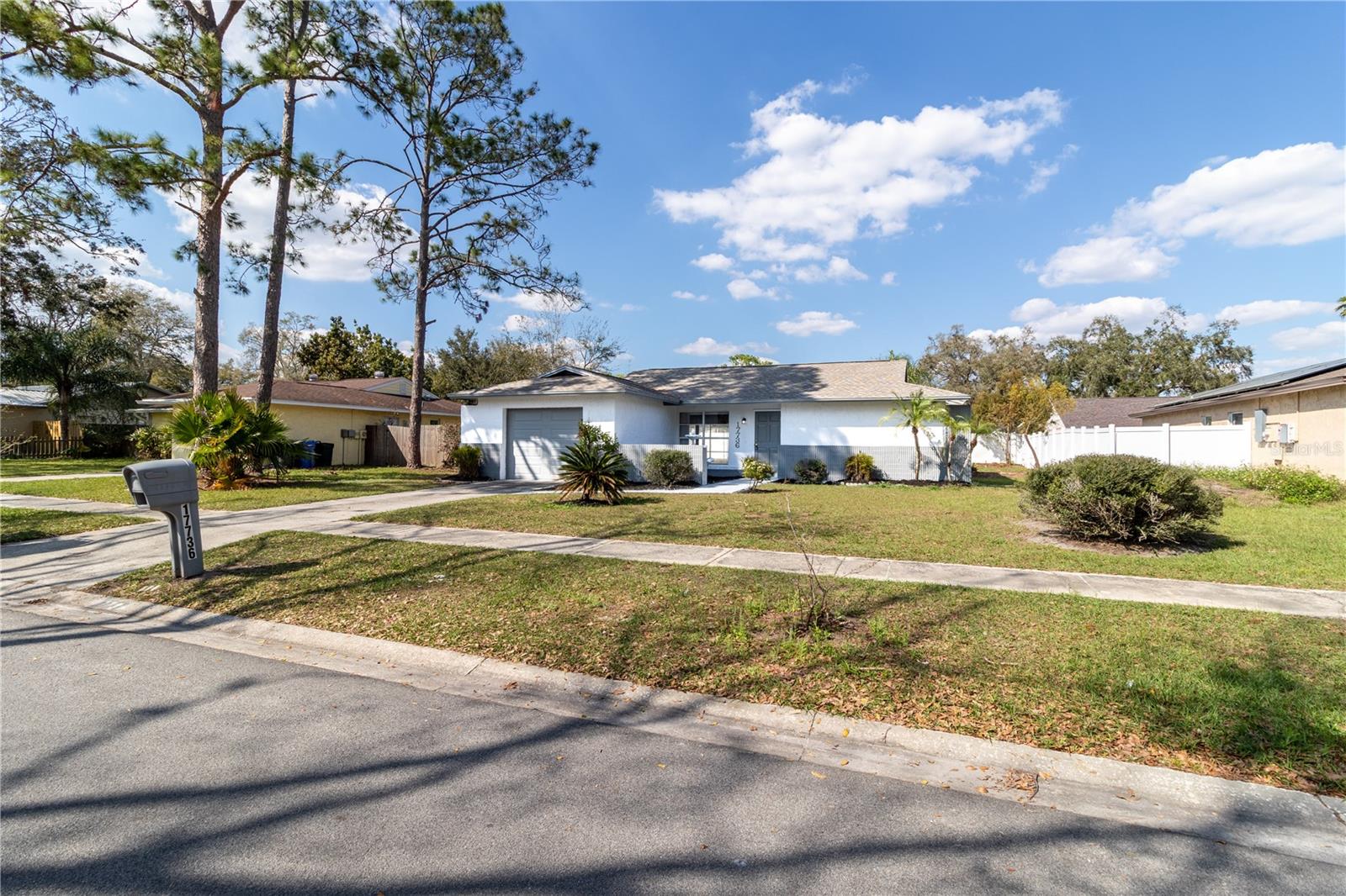 17736 RIVENDEL RD, LUTZ, FL, 33549