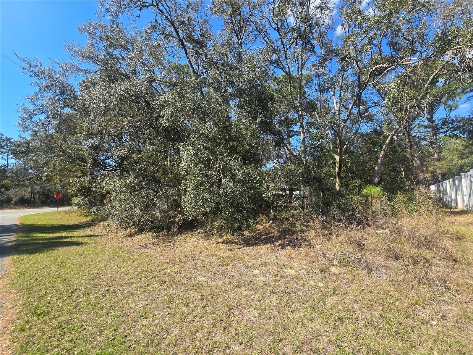 8467 N EMPIRE AVE, CITRUS SPRINGS, FL, 34433
