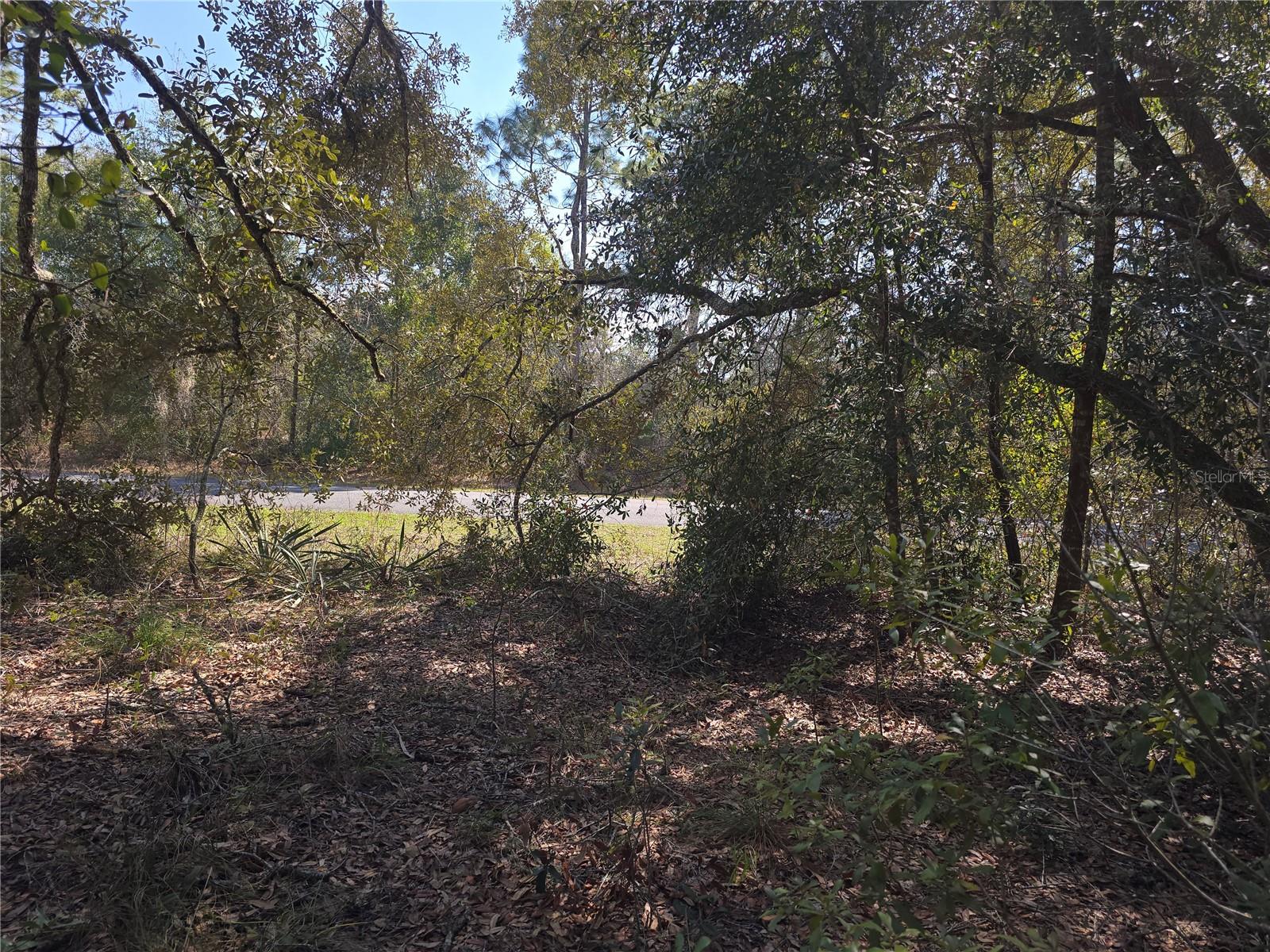 8467 N EMPIRE AVE, CITRUS SPRINGS, FL, 34433