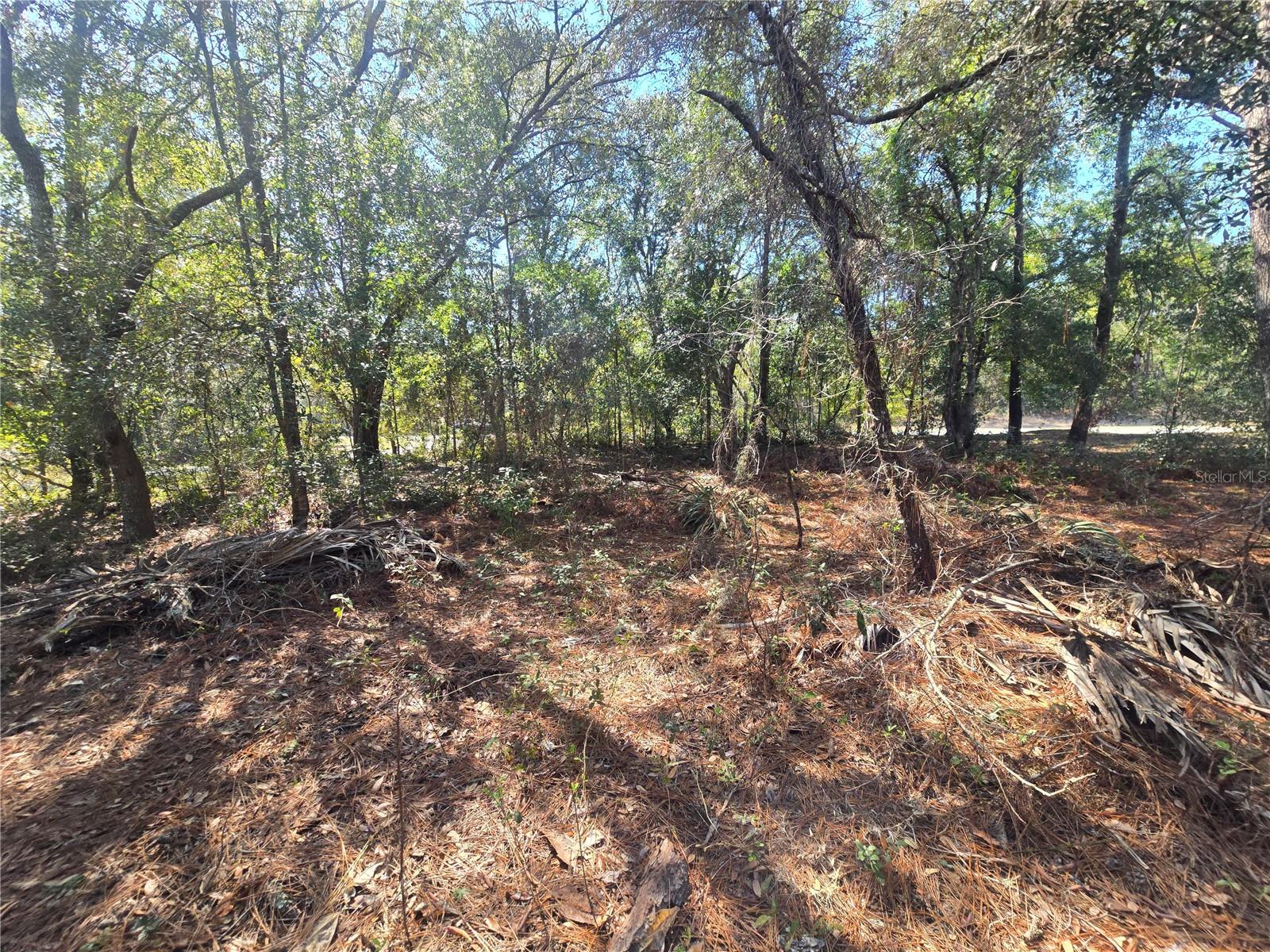 8467 N EMPIRE AVE, CITRUS SPRINGS, FL, 34433