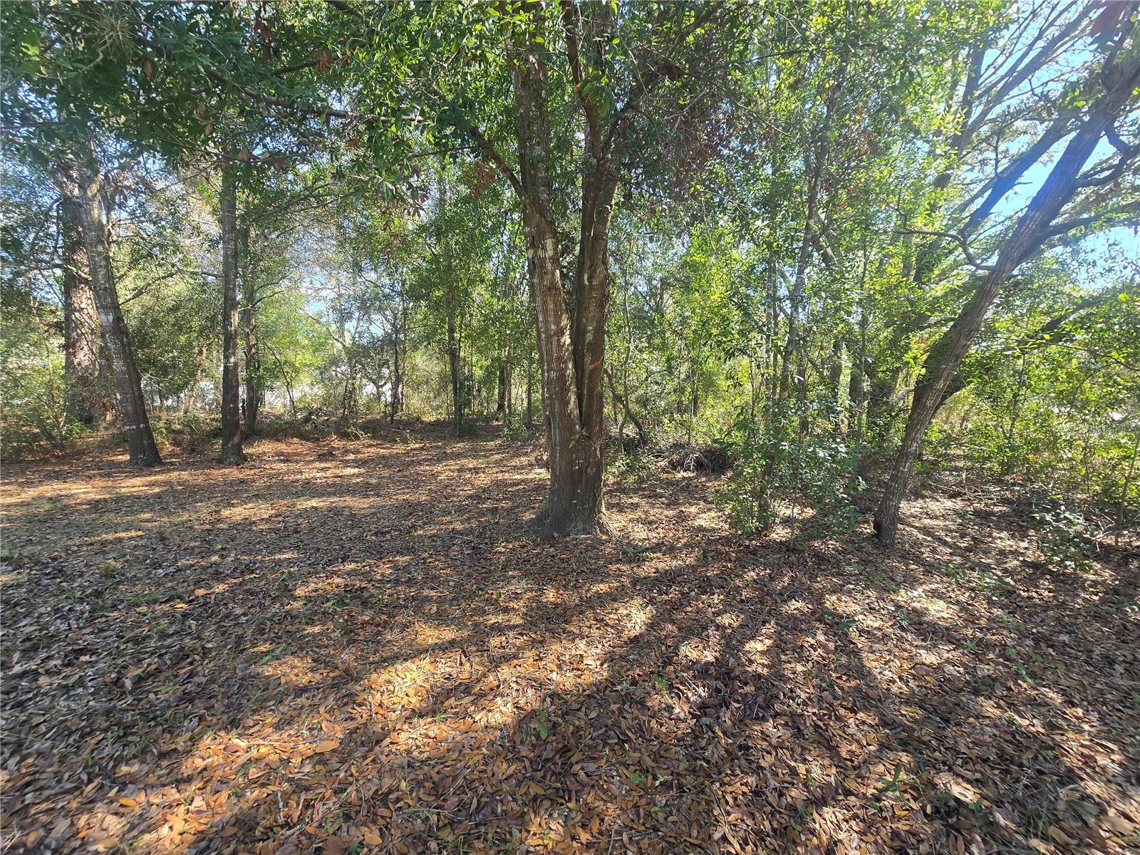 8467 N EMPIRE AVE, CITRUS SPRINGS, FL, 34433