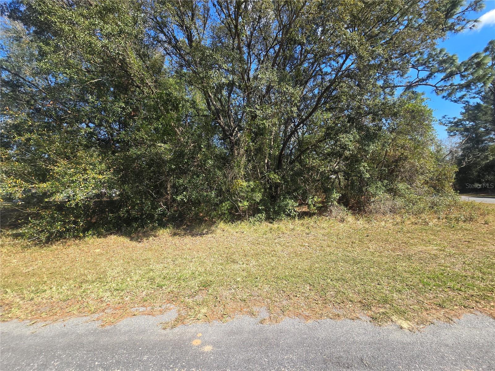8467 N EMPIRE AVE, CITRUS SPRINGS, FL, 34433