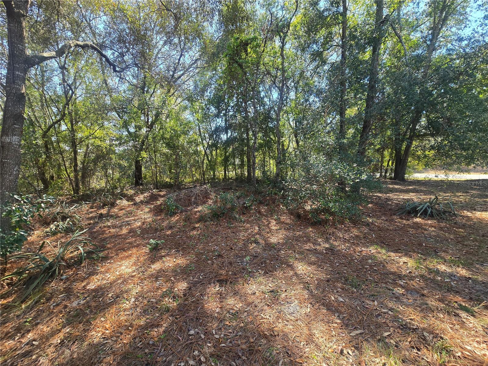 8467 N EMPIRE AVE, CITRUS SPRINGS, FL, 34433