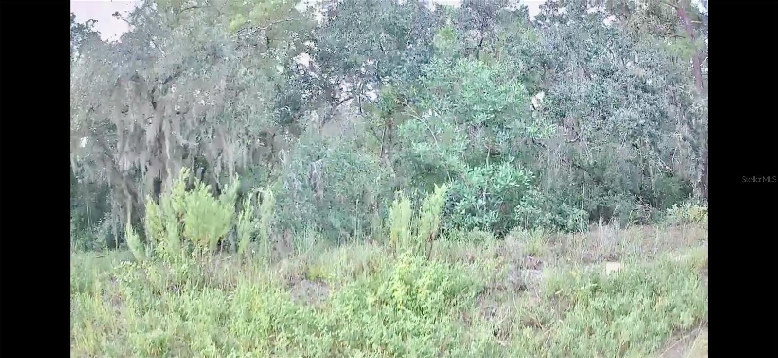 2912 WOODHILL ST, INVERNESS, FL, 34452