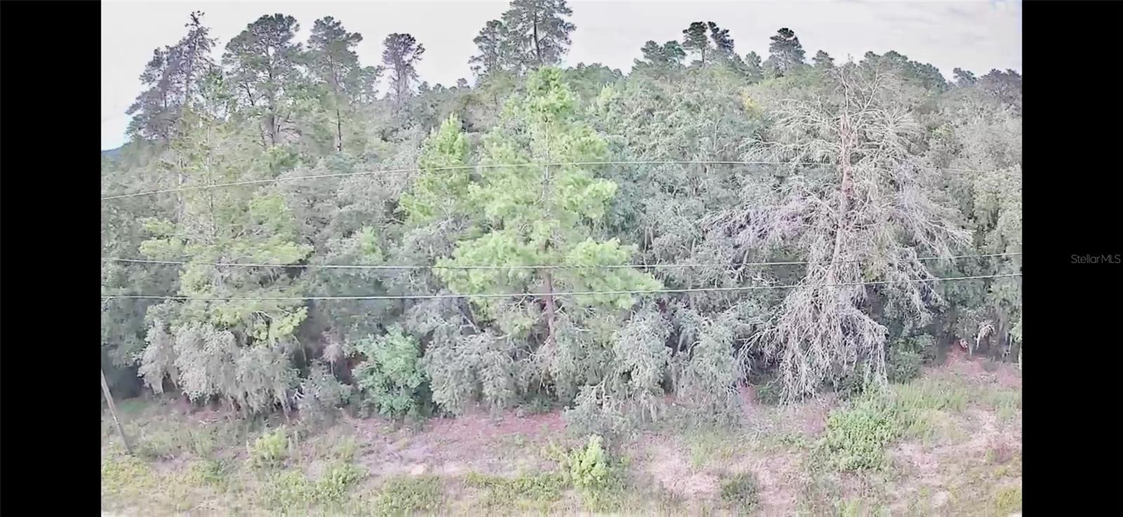2912 WOODHILL ST, INVERNESS, FL, 34452