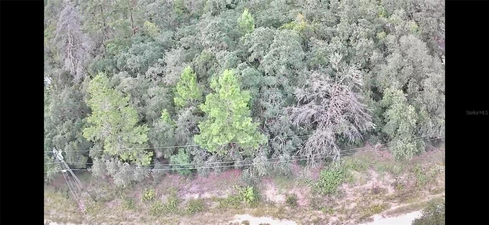 2912 WOODHILL ST, INVERNESS, FL, 34452