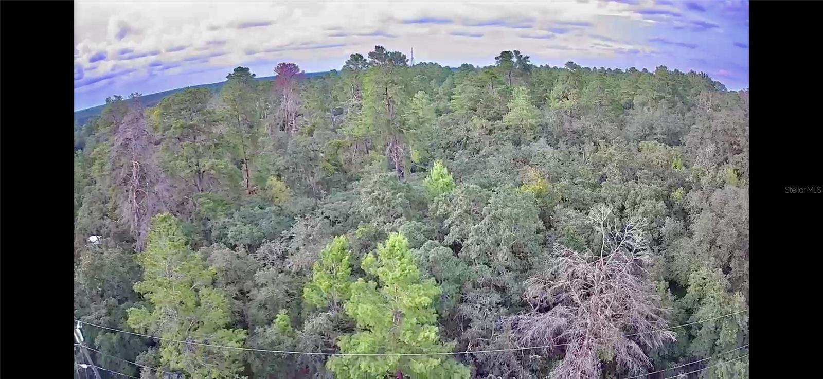 2912 WOODHILL ST, INVERNESS, FL, 34452