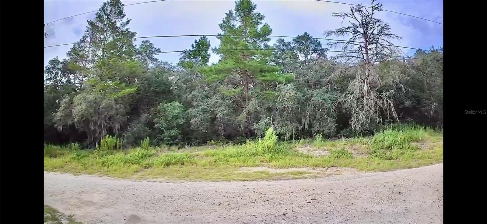 2912 WOODHILL ST, INVERNESS, FL, 34452